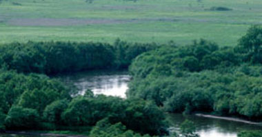 Kottaro湿原瞭望台